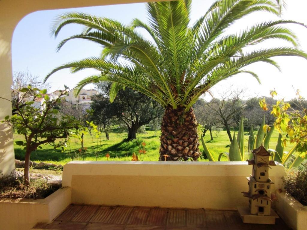 Hotel Quinta Mimosa Loulé Zimmer foto